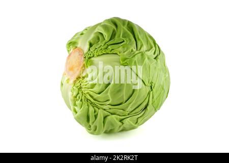 White cabbage over white background Stock Photo