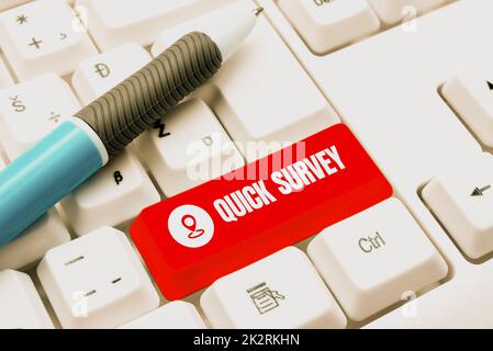 Handwriting text Quick Survey. Word Written on Conduct fast check on condition value situation of something Stock Photo