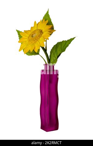 A single Sunflower in the elegant violet glass vase isolated on a white background. Beautiful gift or greeting cards element. Clipping path. Stock Photo