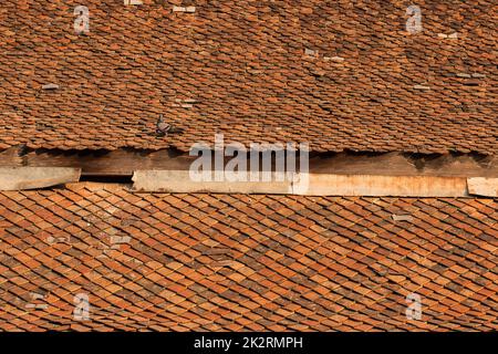 Old clay tiles on the roof of the Thai temple Stock Photo