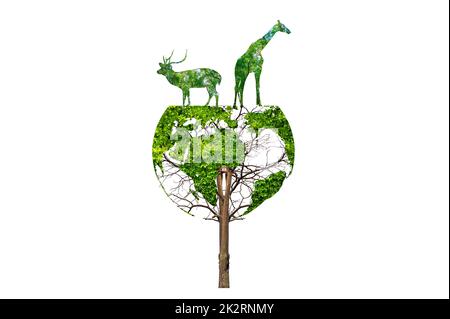 wildlife silhouette on earth wildlife conservation concept Stock Photo