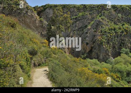 Ayun River Nature Reserve in northern Israel Stock Photo
