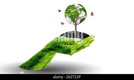A tree with leaves of the world map, concept, environment, save the world Stock Photo