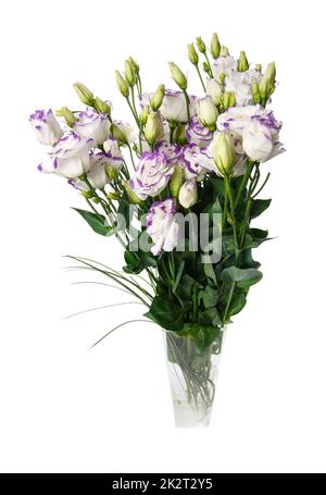 Bunch of violet eustoma flowers in glass vase isolated on white. Stock Photo