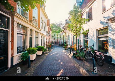 Street with old houses in Haarlem, Netherlands Stock Photo