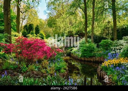 Keukenhof flower garden. Lisse, the Netherlands. Stock Photo