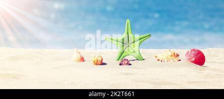 Starfish and seashells on the sunny beach. Summer holiday background Stock Photo