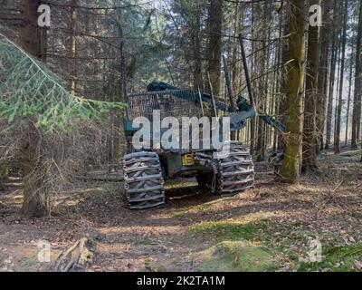 CraneForwarder in a German Forrest Stock Photo