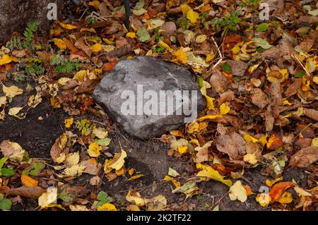 a large granite stone lies among the fallen autumn leaves Stock Photo