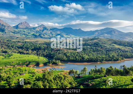 Tea plantations and river in hills. Kerala, India Stock Photo