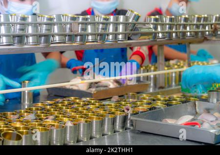 Canned fish factory. Food industry. Workers working in canned food factories to fill sardines in tinned cans. Food processing production line. Food manufacturing industry. Many can on a conveyor belt. Stock Photo