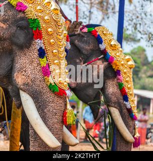 Decorated elephants in Hindu temple at festival Stock Photo