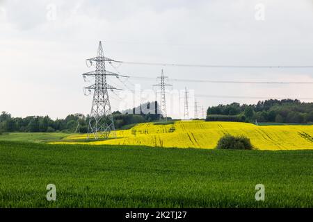 High voltage electricity poles and transmission power lines in the agricultural field Stock Photo