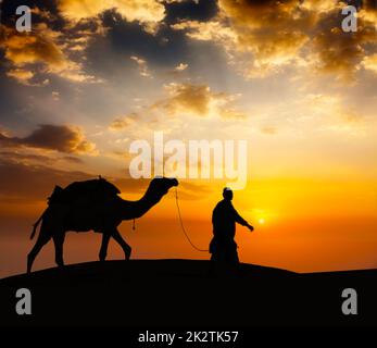 Cameleer camel driver with camels in desert dunes Stock Photo