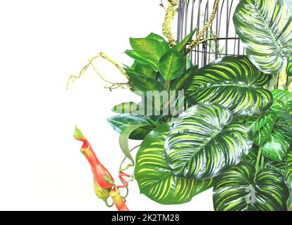 colorful flower and green paln leaves  in cage hanging decoration Stock Photo