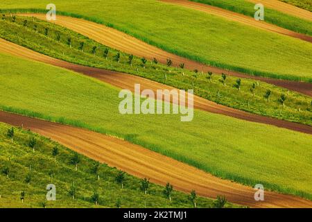 Striped fields of South Moravia in summer, Czech Republic Stock Photo ...