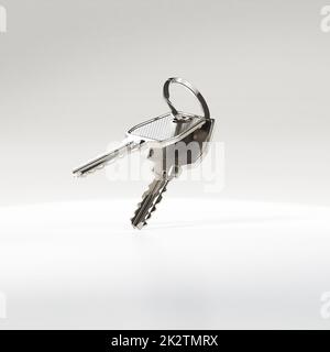 Two keys on a ring. Stock Photo