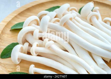 Shimeji white beech mushrooms Stock Photo