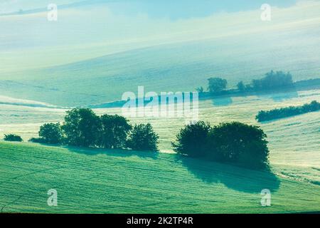 Moravian rolling fields in morning mist Stock Photo - Alamy