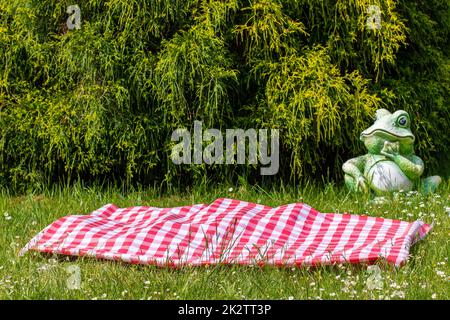 Red picnic cloth. Red checked picnic blanket on a meadow with daisies in bloom. Beautiful backdrop for your product placement or montage. Frog in background. Stock Photo