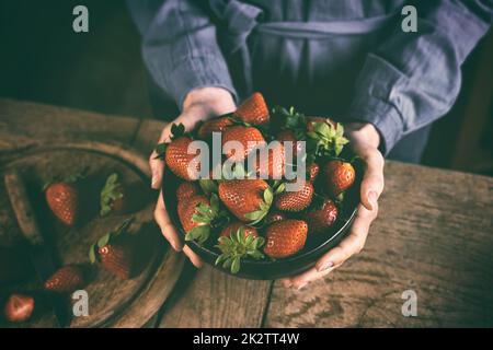 Crop unrecognizable female farmer holding bowl of strawberries in kitchen Stock Photo