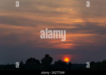 Sunset over trees and pink cloudy sky Stock Photo