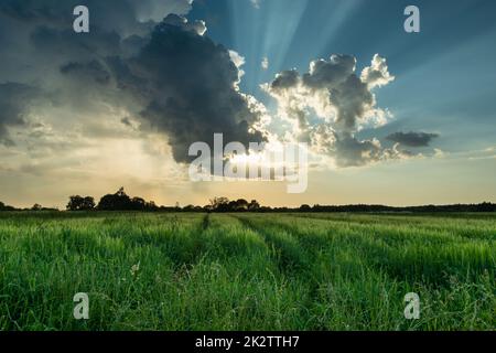 The sun's rays from behind the clouds over the green field Stock Photo