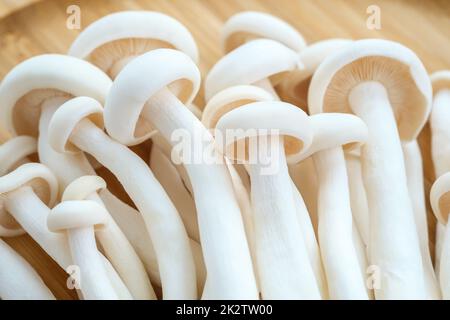 Shimeji white beech mushrooms Stock Photo