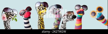 Socks in stylish sunglasses in puppet show Stock Photo