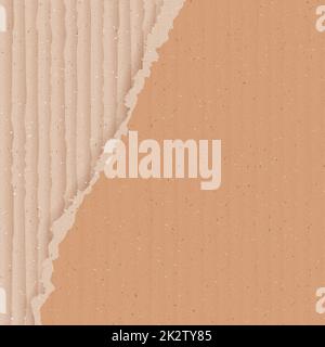 Corrugated brown cardboard background with torn peace Stock Photo