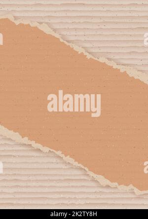 Corrugated cardboard background Stock Photo