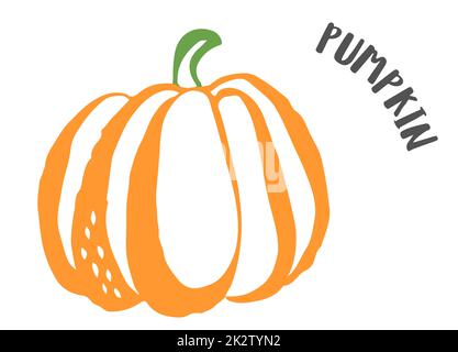 Pumpkin drawing hand painted with ink brush isolated on white background. Vector illustration