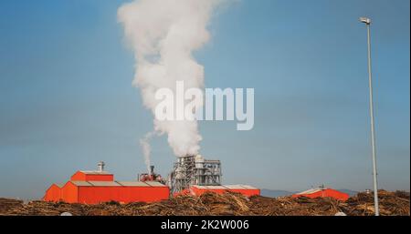 Wood processing plant pollutes the air with smoke coming from the pipe. Stock Photo