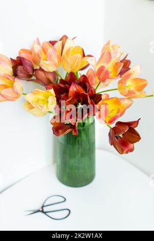 A bouquet of fresh red-yellow tulips in a green vase on the table along with scissors. Place for an inscription. Stock Photo