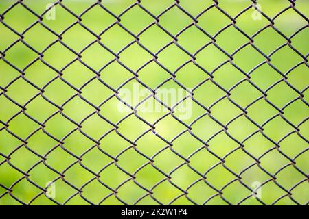 Mesh cage in the garden with green grass as background. Metal fence with wire mesh. Blurred view of the countryside through a steel iron mesh metal fence on green grass. Abstract background. Stock Photo