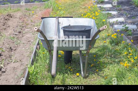 Gray metal garden wheelbarrow with two handles and one wheel. The wheelbarrow is in the garden or garden. Gardener's wheelbarrow in the backyard. Garden cleaning. Stock Photo