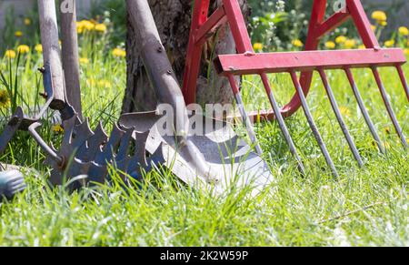 Gardening tools. Garden tools on the background of a garden in green grass. Summer work tool. Shovel, fork and baking powder stacked in the garden outside. The concept of gardening tools. Stock Photo