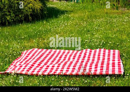 Red picnic blanket. Red checkered picnic cloth on a flowering meadow with daisy flowers. Beautiful backdrop for your product placement or montage. Stock Photo