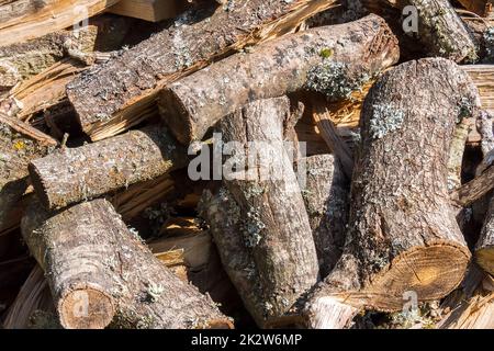 Firewood for the fireplace in winter Stock Photo