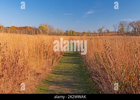 Path Through the Prairie Grasses in the Fall Stock Photo