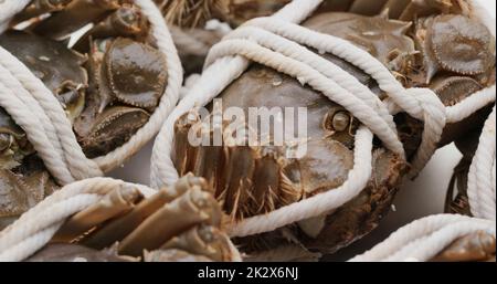 Fresh raw Chinese mitten crab Stock Photo