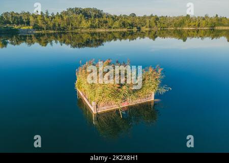 A small wooden footbridge in the middle of the lake is covered with vegetation Stock Photo