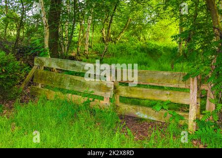 North German agricultural field fence gate nature landscape panorama Germany. Stock Photo