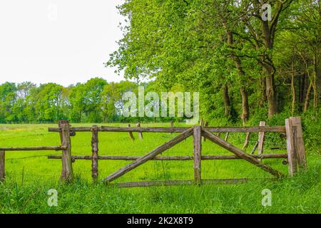 North German agricultural field fence gate nature landscape panorama Germany. Stock Photo