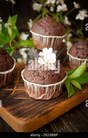 Double chocolate muffins covered with melted chocolate on a wooden background with cherry flowers Stock Photo