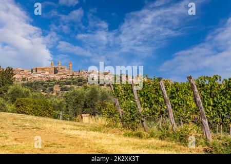 Tuscany's most famous vineyards near town Montalcino in Italy Stock Photo