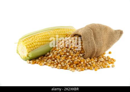 Corn kernels and fresh maize or corn on the cob Stock Photo