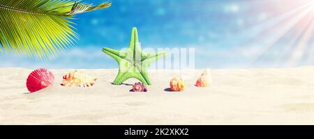 Starfish and seashells on the sunny beach. Summer holiday background Stock Photo
