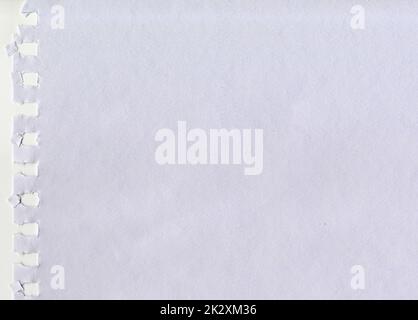 Large image high resolution white water color uncoated rough paper texture background scan ripped from a notebook with square spiral holes for presentation wallpaper with copy space for text Stock Photo