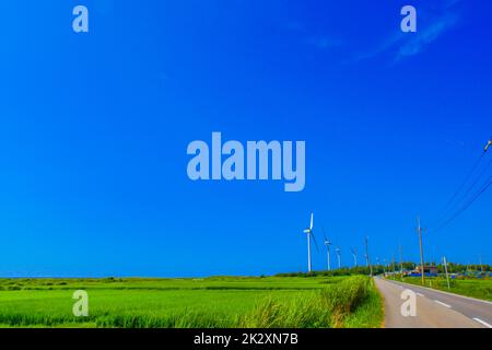 Many wind power stations (renewable energy) Stock Photo